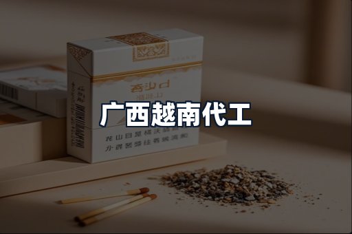 广西越南代工